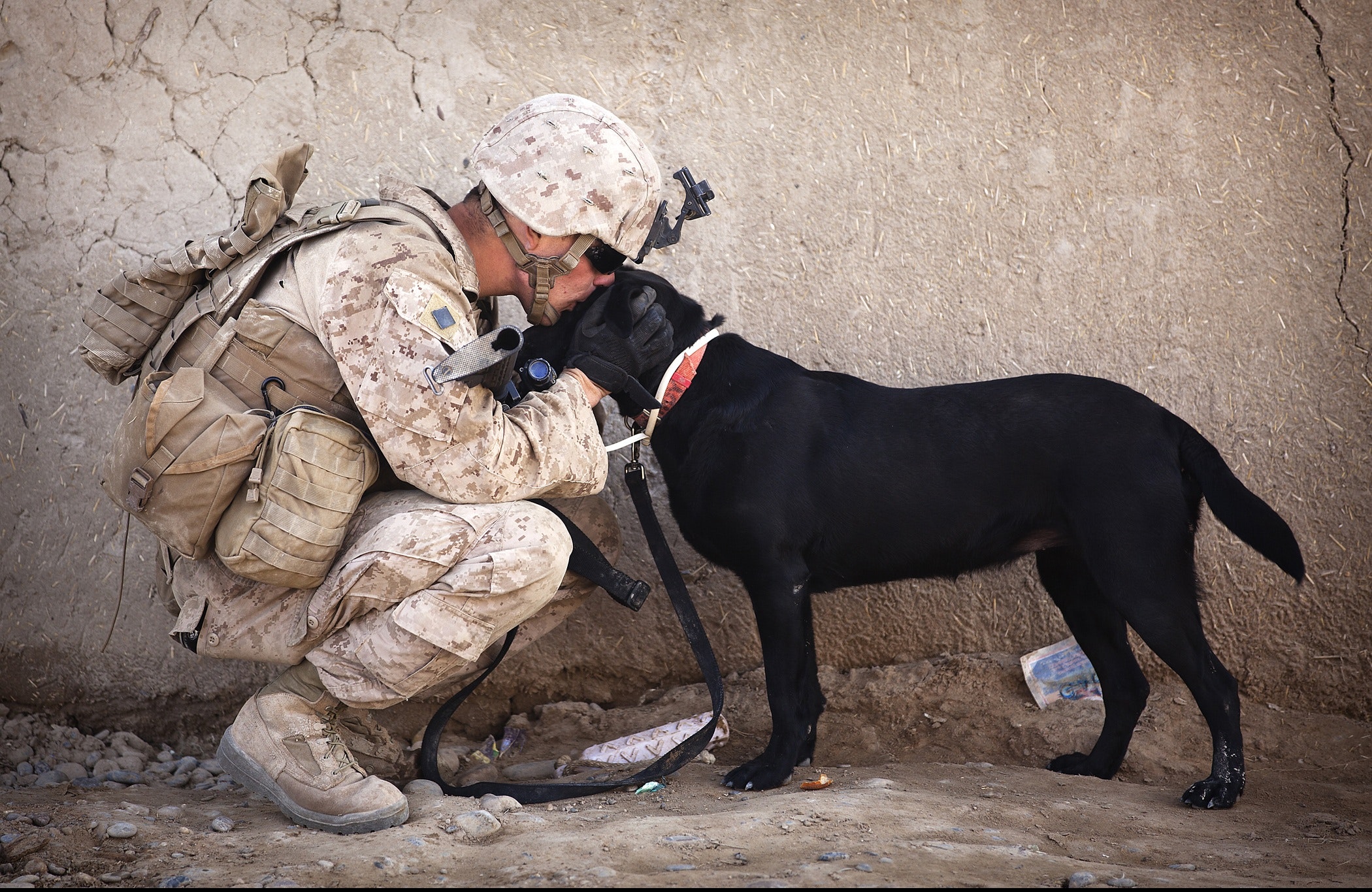 CBD for PTSD