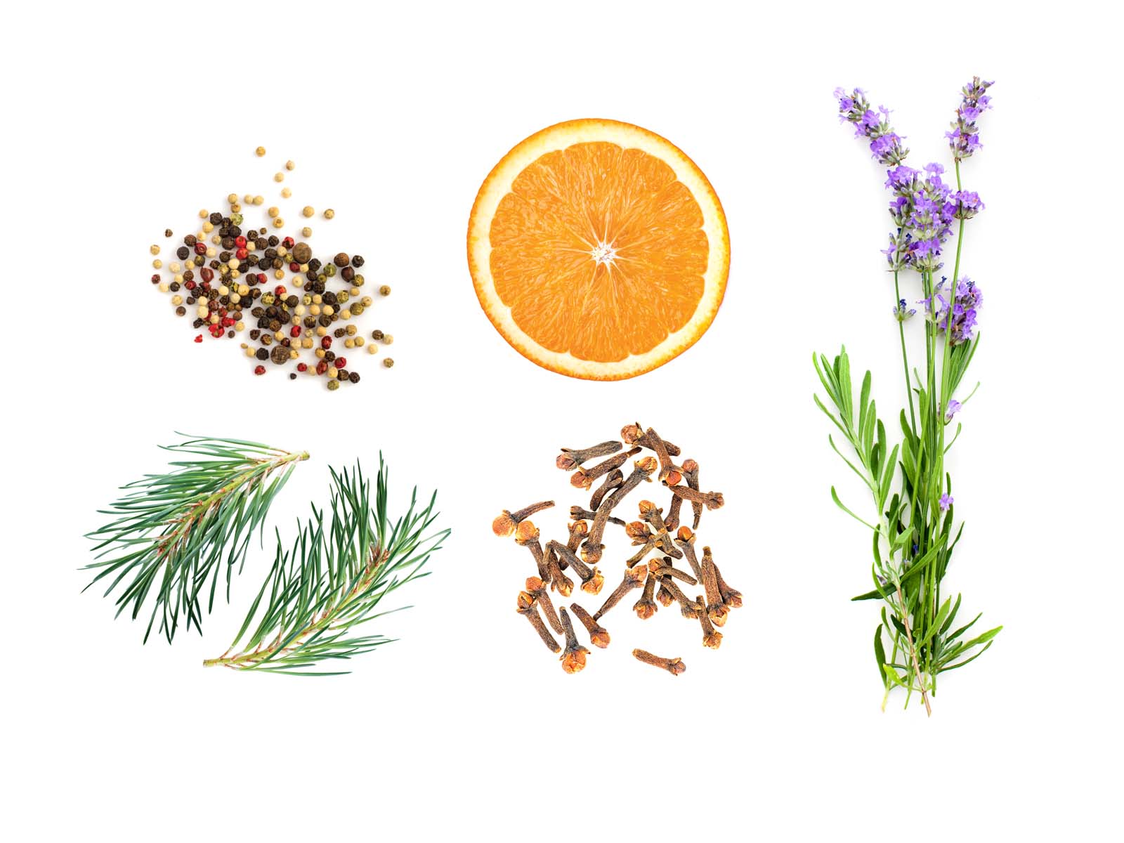 What  Are Terpenes? And Why Do they Make Your Weed Stink?