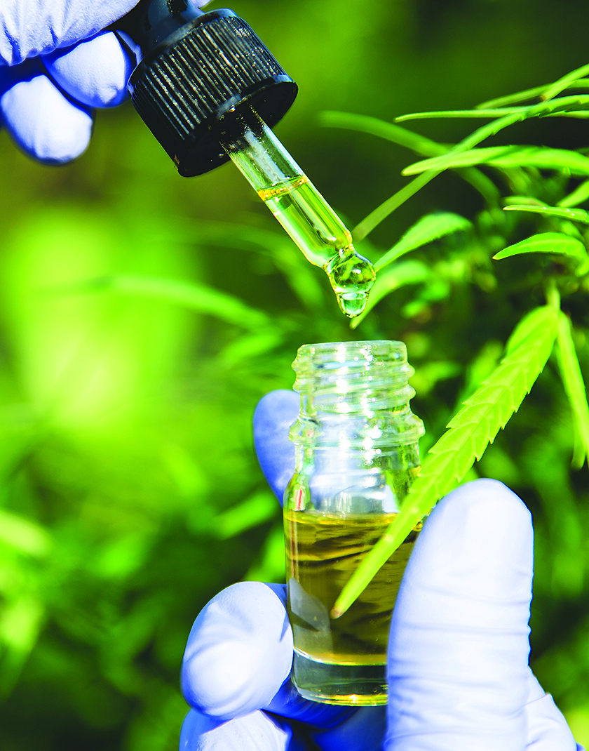 How is CBD Oil Made?